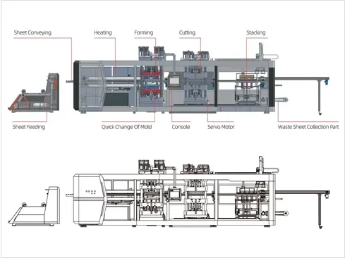 Structure of High Speed 3 Station Thermoforming Machine
