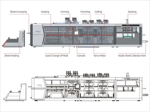 Structure of 4 Station Large Plastic Thermoforming Machine