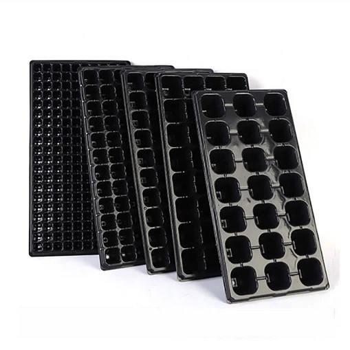 Seedling Tray