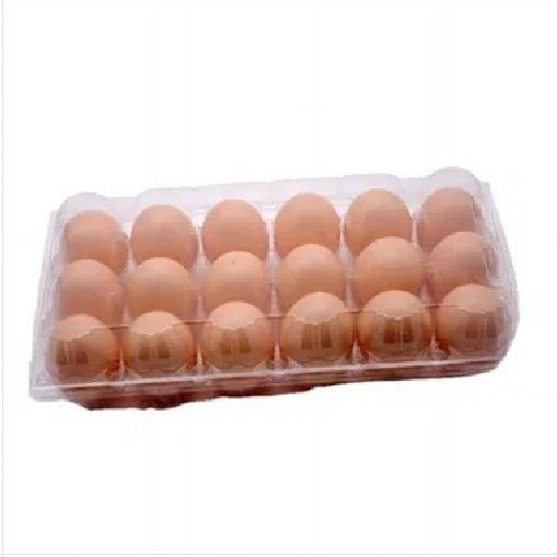 Egg Tray